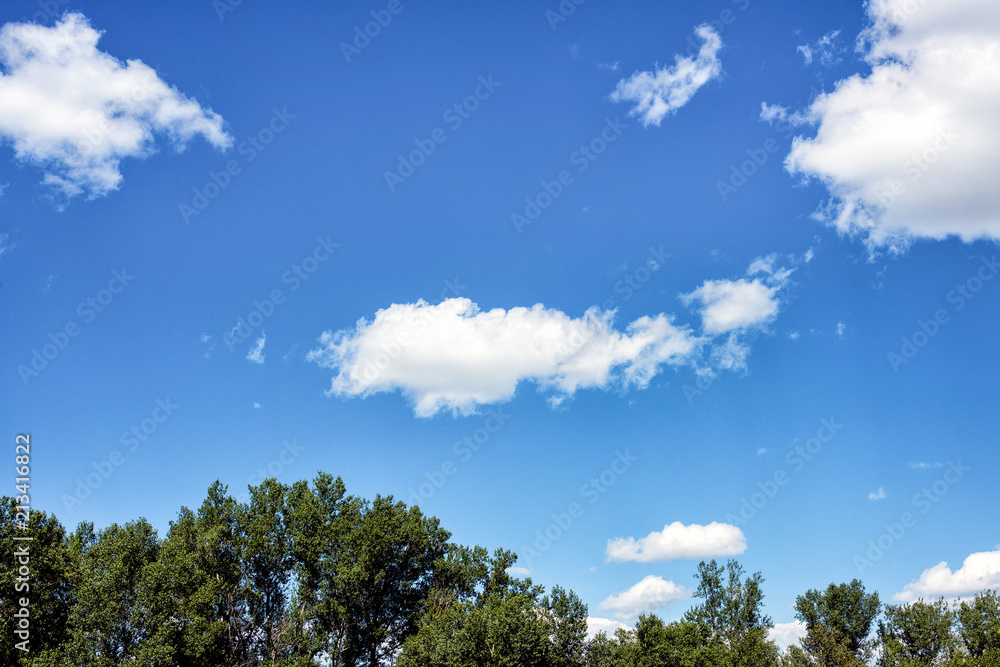 Fluffy white clouds on background of blue sky wallpaper Fluffy white clouds on background of blue sky wallpaper