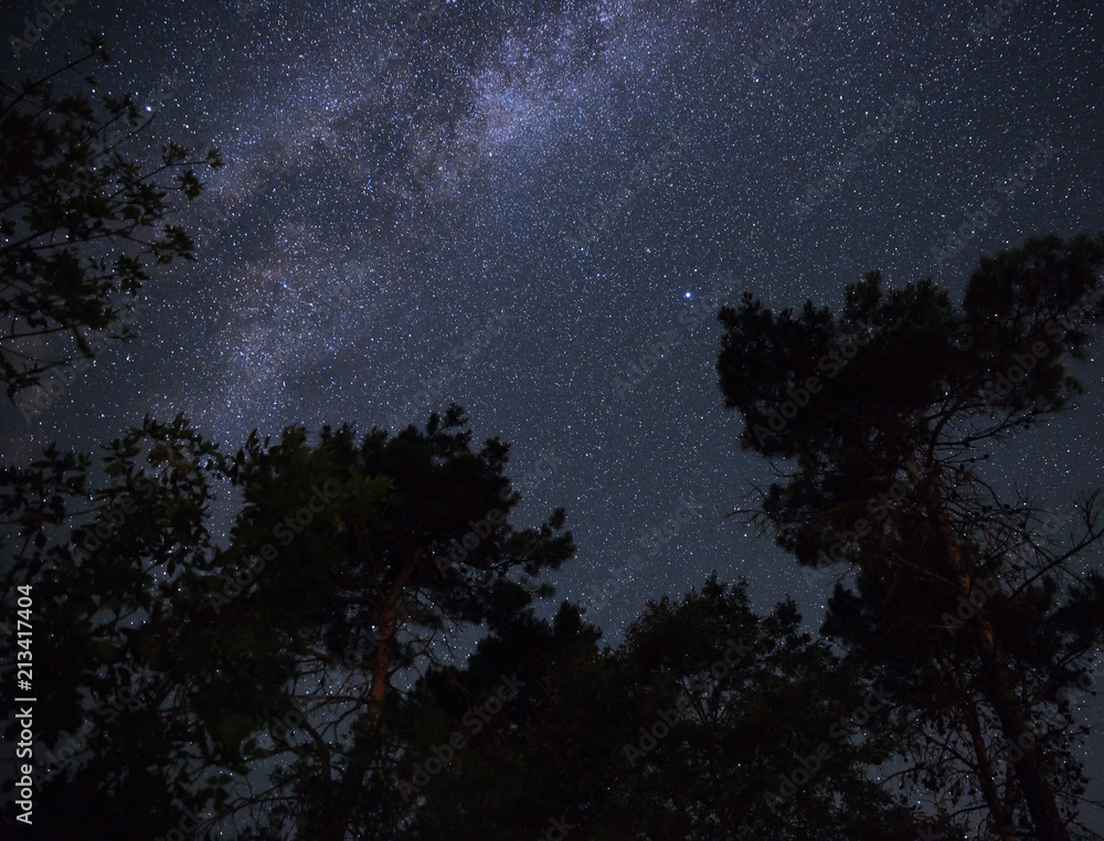 Milky Way in the night sky over the forest Milky Way in the night sky over the forest