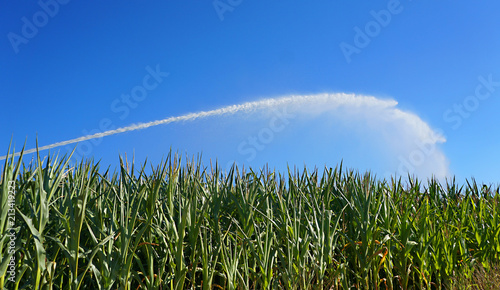 Bewässerung eines Maisfeldes bei starker Trockenheit, Klimawandel