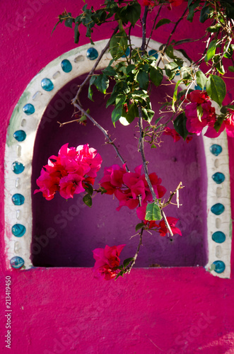 Bougainvillea flowers in front of a pink stucco alcove in Puerto Vallarta, Mexico