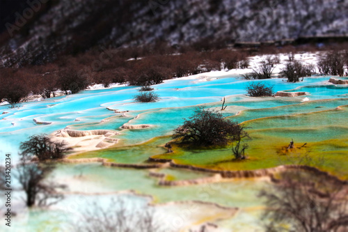 Joyful Huang Long Turquoise Love Dragon