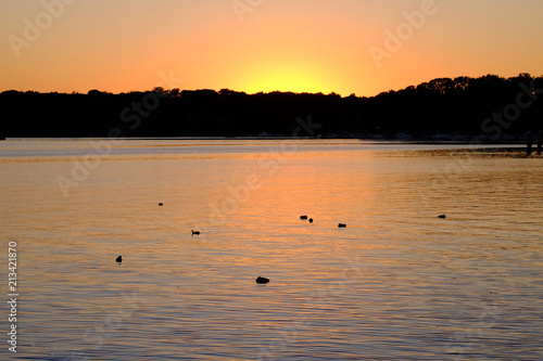 Lake with sleeping birds at sunset