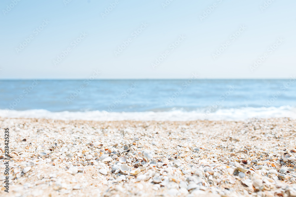 Sand close-up, against the background of a blurred blue sea or ocean, an empty beach, Sunny day, beach with shells