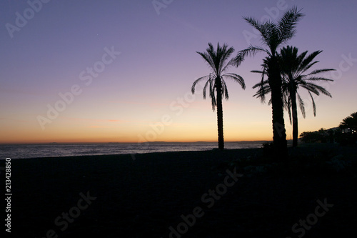 Spectacular sunset view over Marbella sea with palm trees back light silhouettes.