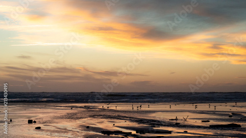 Golden sunset shot on the Kapiti coast beach near Paraparaumu in Wellington area, North Island of New Zealand. photo