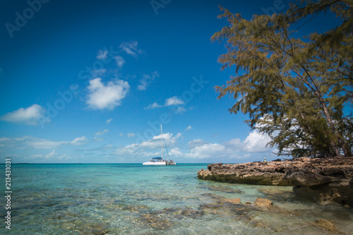 Idyllic Caribbean Landscape