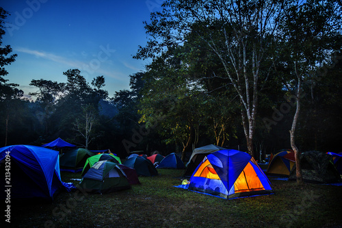 Camping in Green Park 