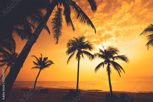 Fototapeta Naklejka Na Ścianę i Meble -  Silhouette of tropical beach during sunset twilight. seascape of summer beach and palm tree at sunset. vintage color tone
