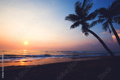 Fototapeta Naklejka Na Ścianę i Meble -  Silhouette tropical beach at sunset. seascape of summer beach and palm tree at sunset. vintage color tone