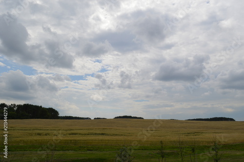field