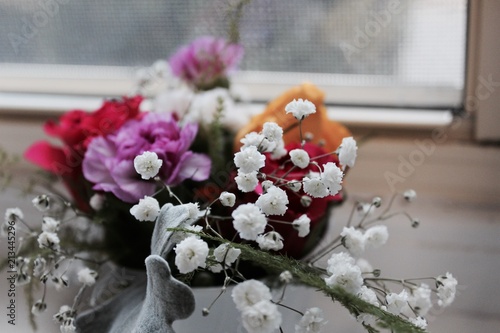 Variety flowers white blossom