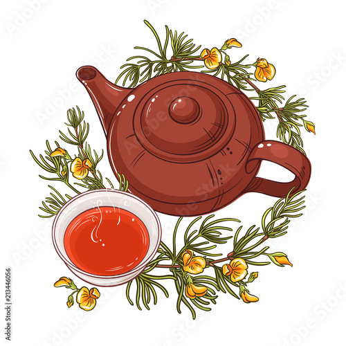 rooibos tea illustration