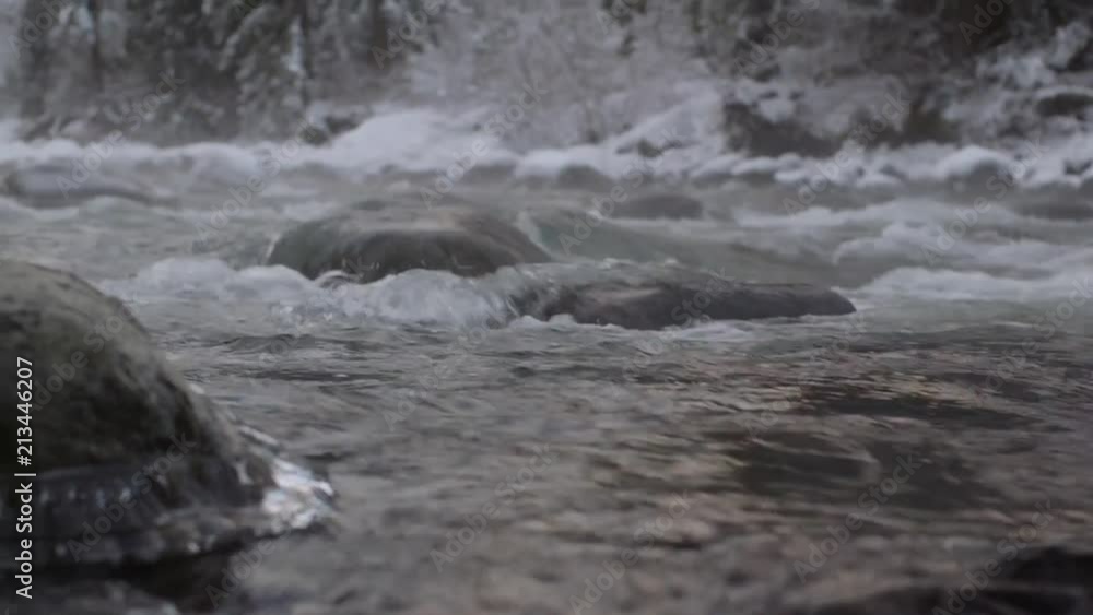 Snowy winter day on the Chilliwack River in British Columbia Canada. Snowy winter day on the Chilliwack River in British Columbia Canada.