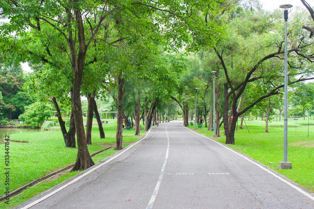 Tropical view empty footpath or walkway along side with green trees in public park. (Selective focus)