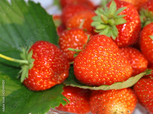 Strawberry ripe red delicious appetizing berry with close-up leaves