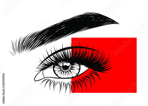 Illustration of woman's sexy luxurious eye with perfectly shaped eyebrows and full lashes. Hand-drawn Idea for business visit card, typography vector. Perfect salon look.