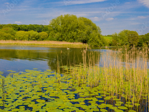 Beautiful early summer day at Pickmere Lake, Pickmere, Cheshire, UK photo