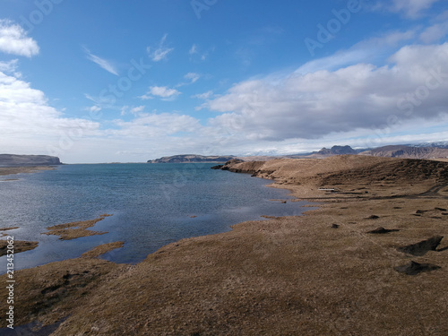 View of cost in Vik  Iceland