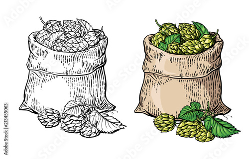 Hand drawn vintage graphic with two bags and hops. Vector illustration