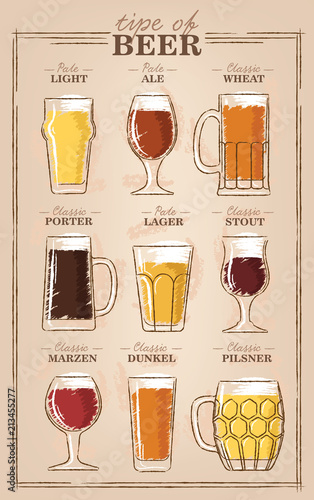 Beer types. A visual guide to types of beer. Various types of beer in recommended glasses. Vector illustration