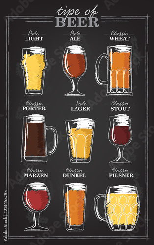 Beer types. A visual guide to types of beer. Various types of beer in recommended glasses. Vector illustration