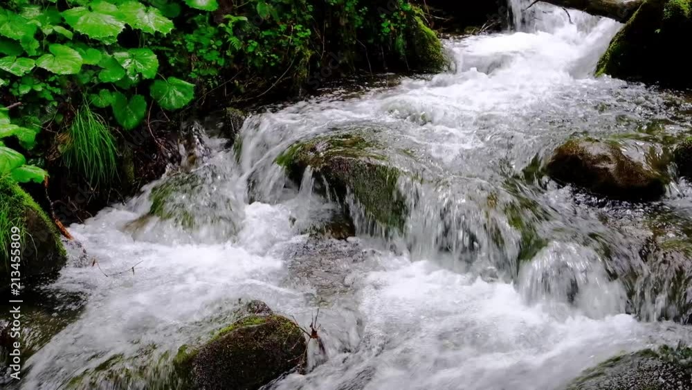 Small mountain stream close up slow motion video Small mountain stream close up slow motion video
