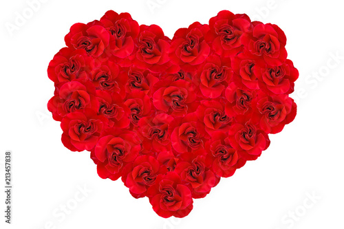 Heart of red roses. Heart background of red roses isolated on white background