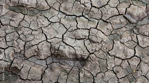 Cracked Soil