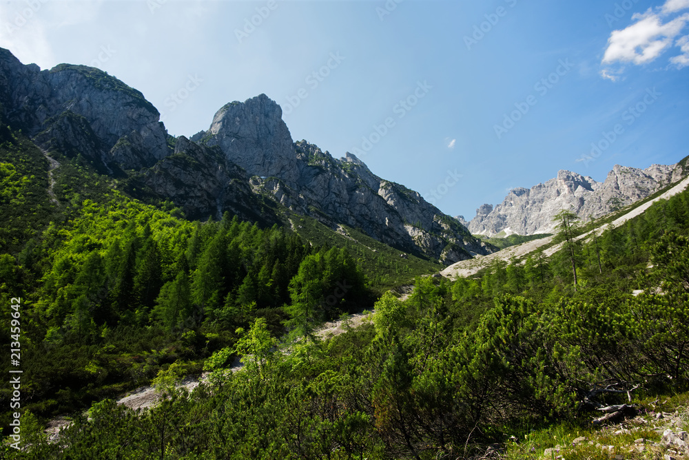 Obraz premium Panorama lungo la salita al Rifugio Pacherini da Forni di Sopra