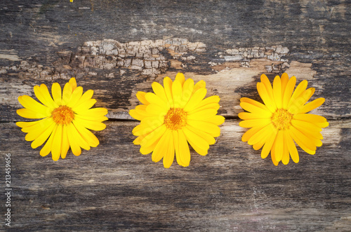 Calendula flower head on wooden table surface background.
