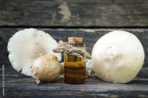 Amanita poisonous fungus tincture. Homeopathy. photo