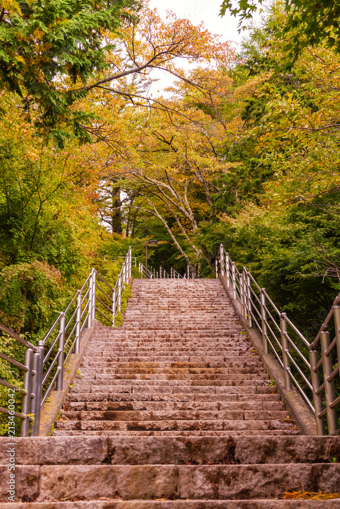Obraz premium Beautiful colorful autumn park in sunny day