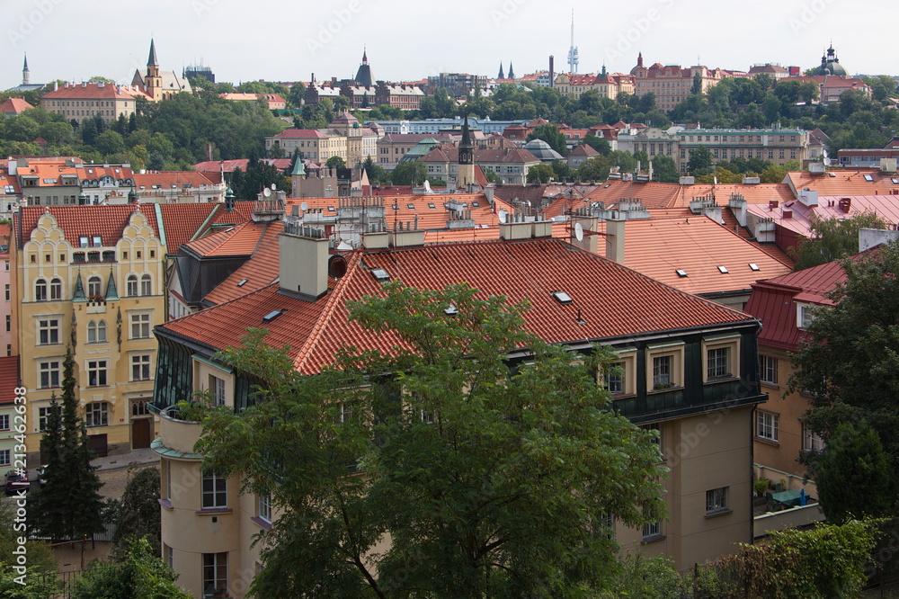 View of the architecture in Prague from Vysehrad
