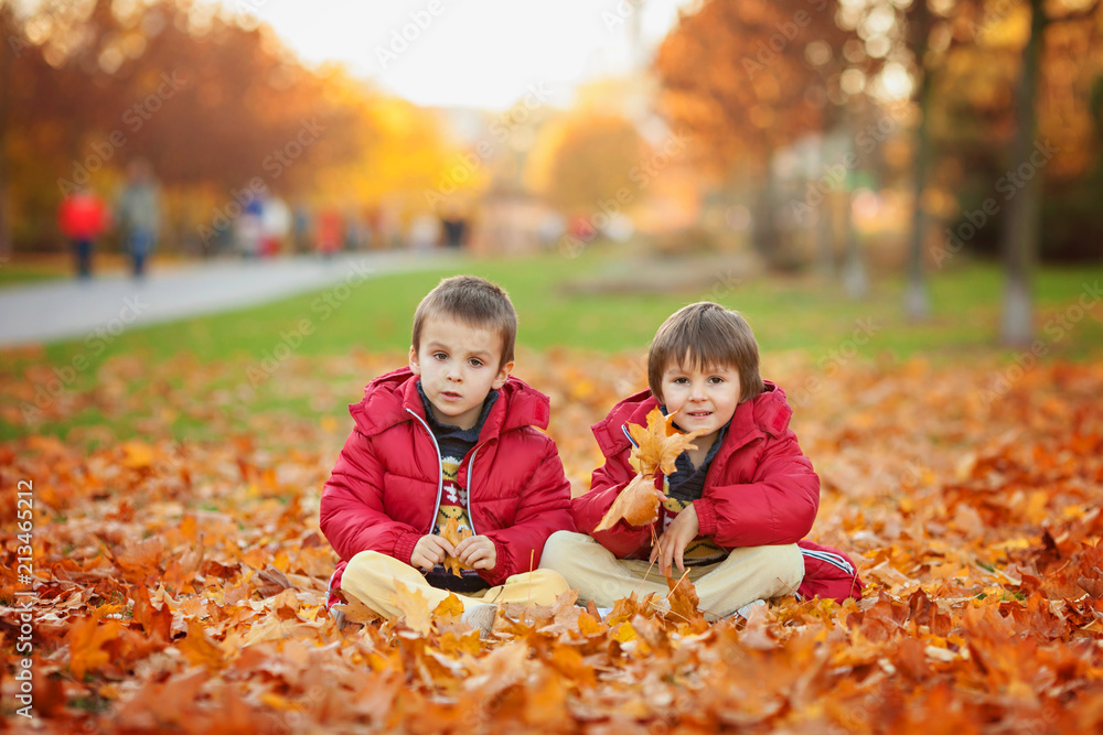 Two kids, boy brothers, playing with leaves in autumn park Two kids, boy brothers, playing with leaves in autumn park