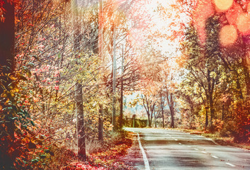 Beautiful sunny autumn road with red fall foliage trees . Travel , seasonal outdoor nature