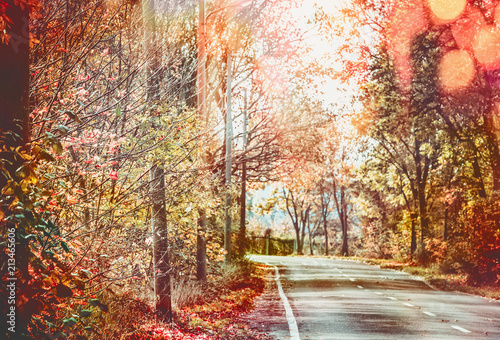 Beautiful sunny autumn road with red fall foliage trees . Travel , seasonal outdoor nature