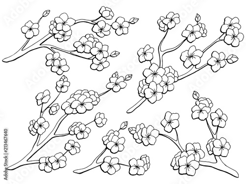Sakura graphic flower branch black white isolated sketch set illustration vector