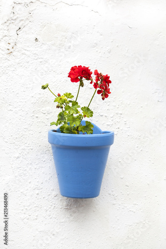 Potted flowers hang in the wall of Carmen Street in Marbella old town (Malaga, Spain).