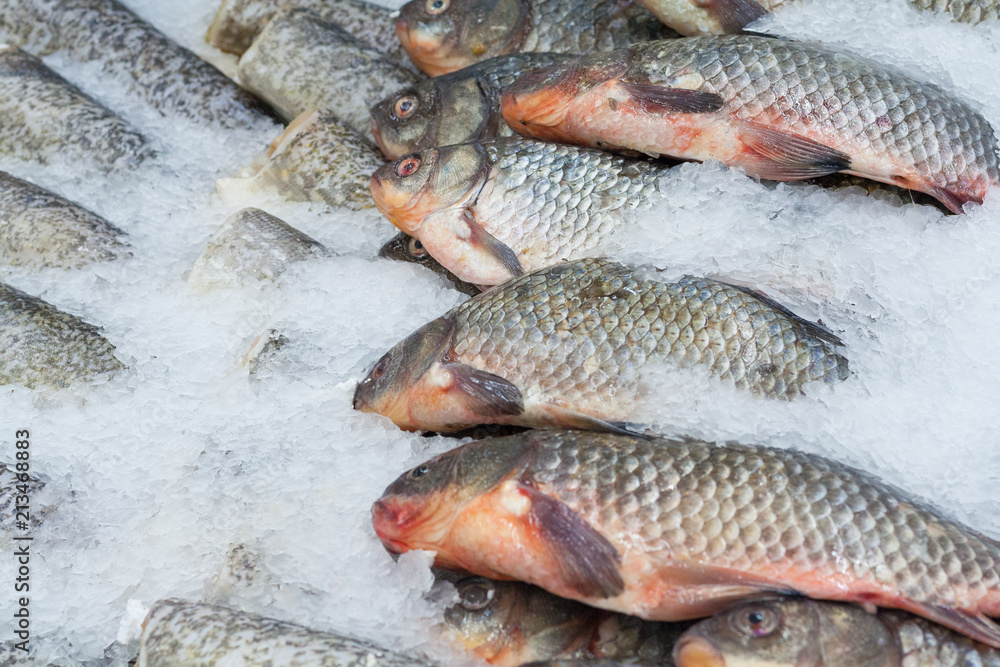 View of a frozen mullet fish on the counter of supermarket View of a frozen mullet fish on the counter of supermarket