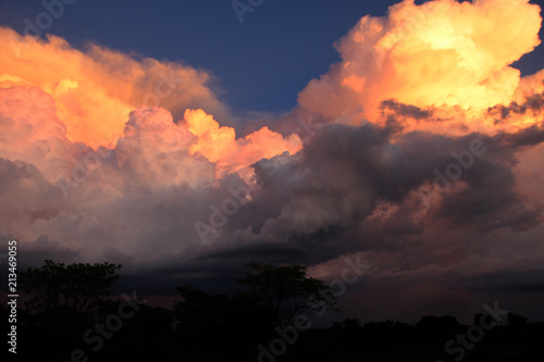 Africa, Central African Republic, Sangaris 