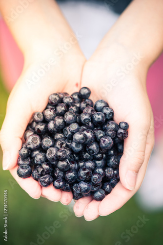 Farmer or gardener woman holding blueberries in hands