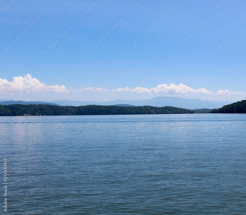 A beautiful sunny day at the lake in the summertime.