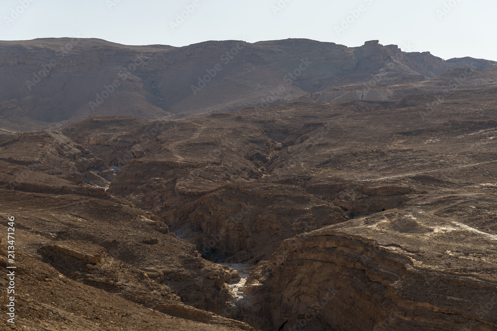 Dry stream in the Negev desert