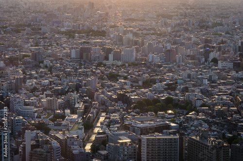 Tokyo city view from above at sunset