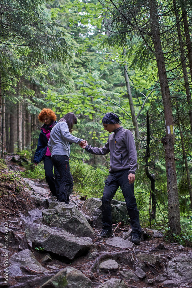 People hiking into the forest People hiking into the forest
