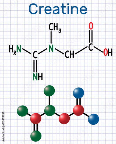 Creatine molecule. Structural chemical formula and molecule model. Sheet of paper in a cage