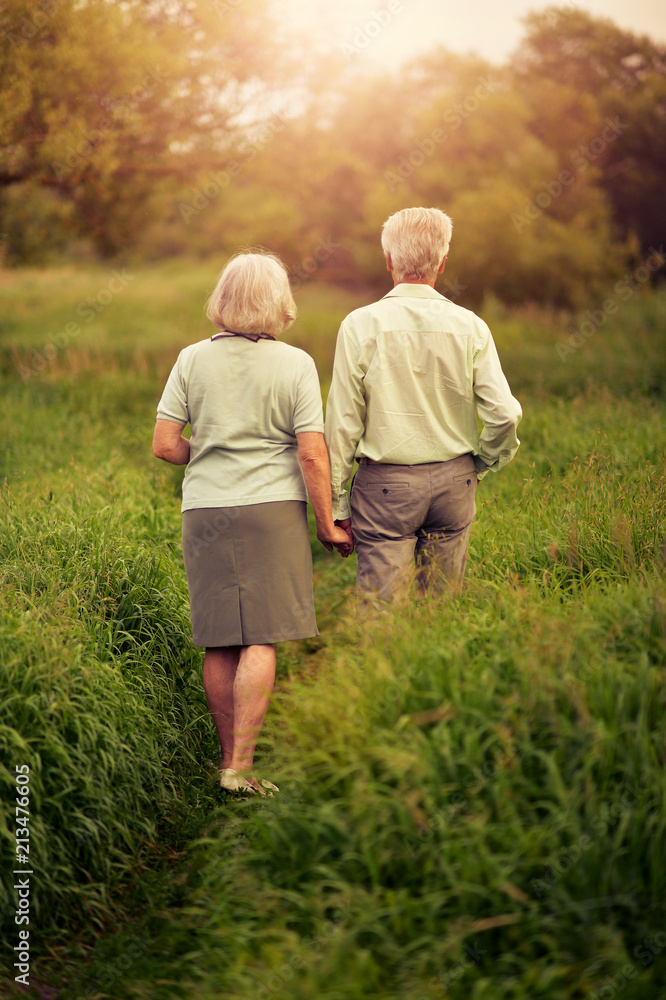 Loving senior couple walking