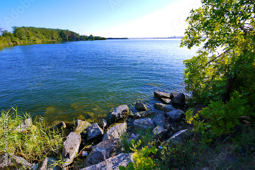 shore with sharp rocks and reeds near the pond