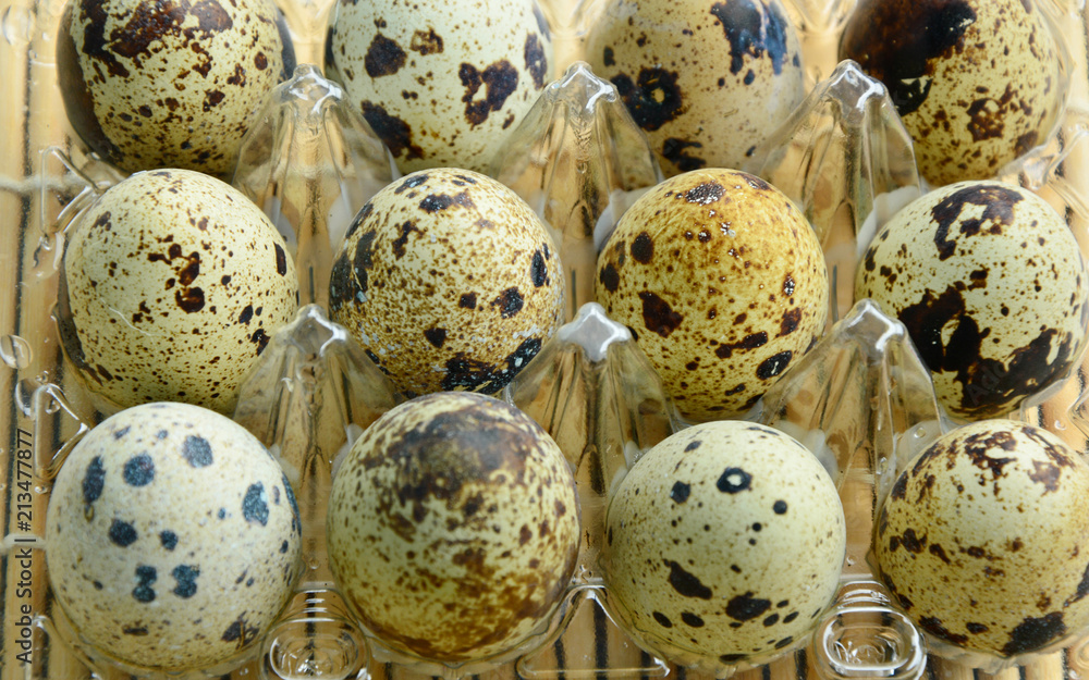 Obraz premium There is an impressively high level of vitamin A found in quail eggs. Quail eggs in plastic egg packaging.