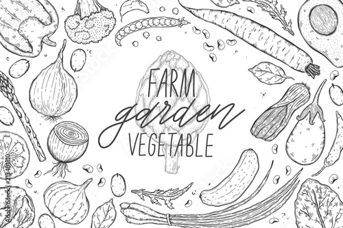 Vector big set of vegetables in a realistic sketch style. Healthy food  natural product  vegetable farm  vegan food  sports nutrition.